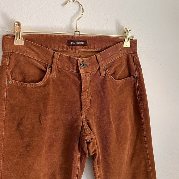James Jeans Corduroy Pants 31 Classic Rust Brown Skinny Boho Retro Vintage - Picture 1 of 3